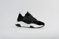 Dior b22 black/white