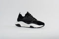 Dior b22 black/white