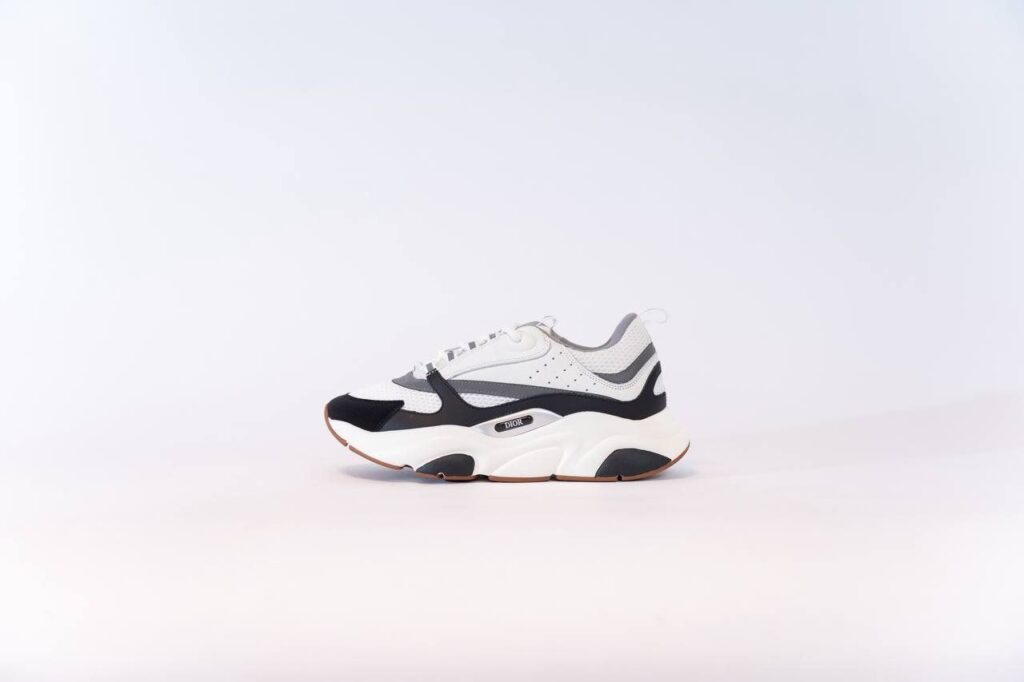 Dior b22