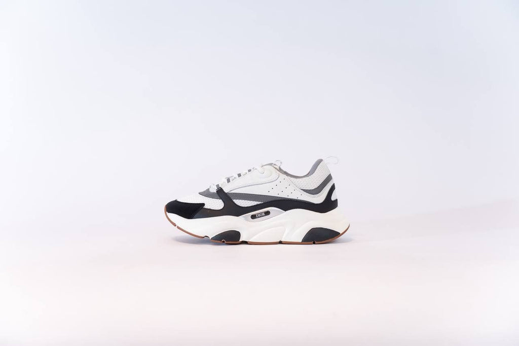 Dior b22
