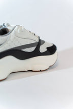 Dior b22