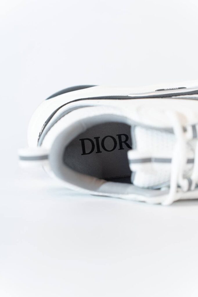 Dior b22