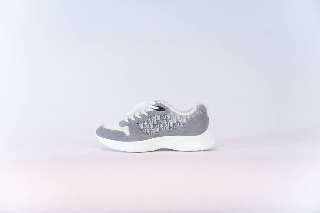 Dior b25 grijs