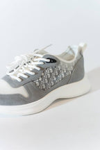 Dior b25 grijs