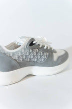 Dior b25 grijs