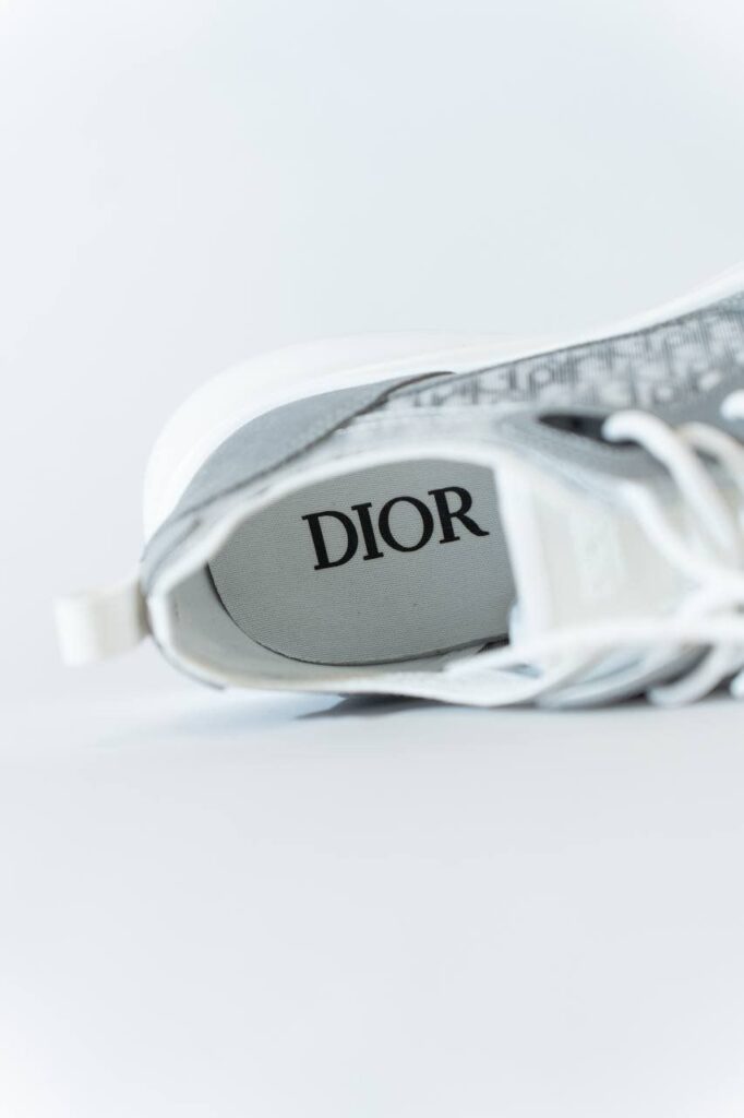 Dior b25 grijs