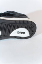Dior b27